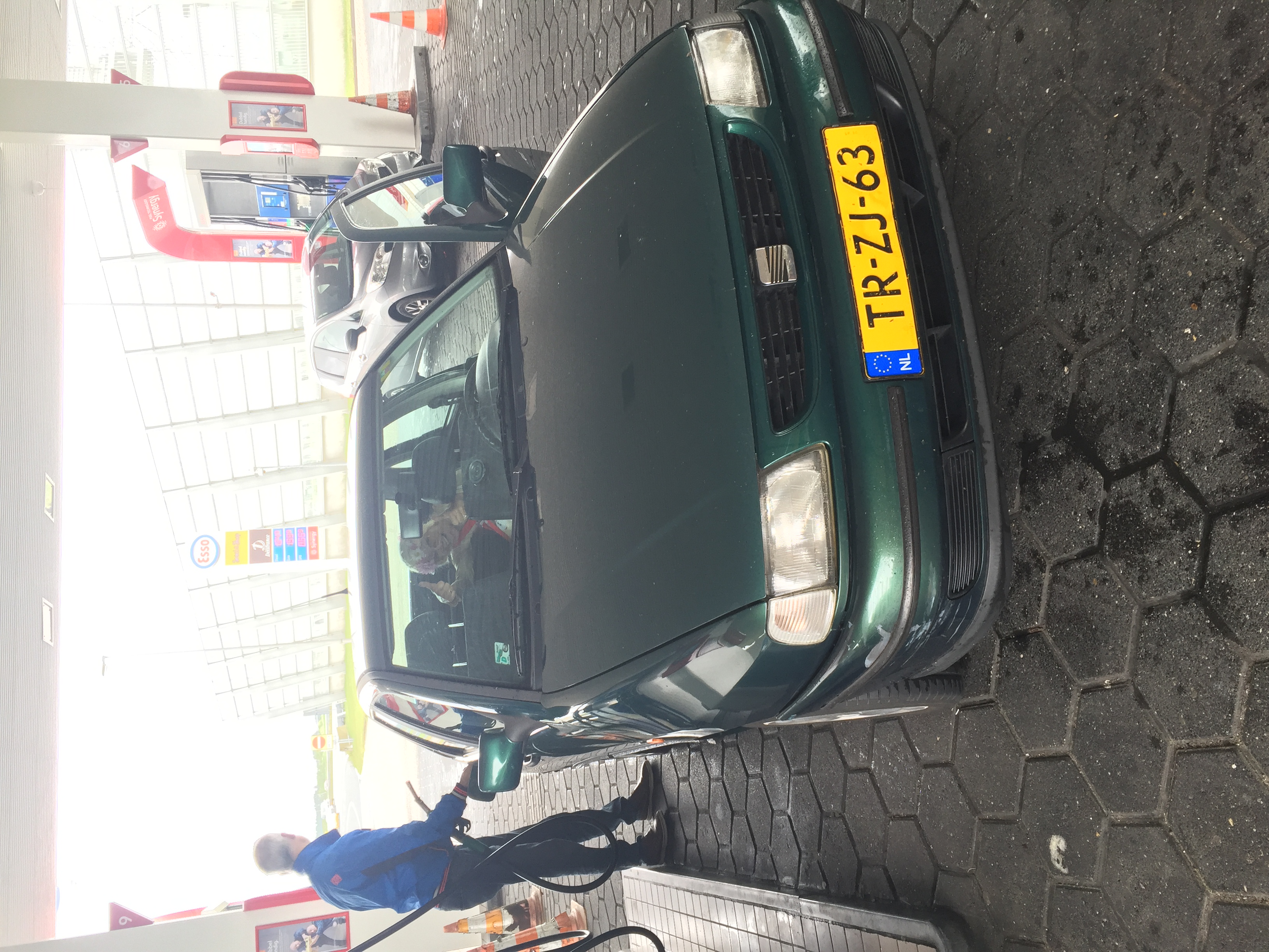 2016 Dion (1).JPG